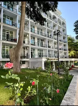 Студия Краснодарский край, Сочи Светлана мкр, ул. Депутатская, 10Д ...