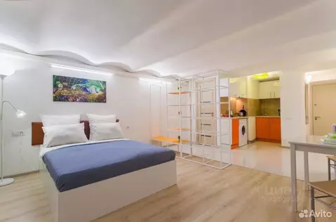 Студия Санкт-Петербург 2-я Васильевского острова линия, 3 (18.5 м)