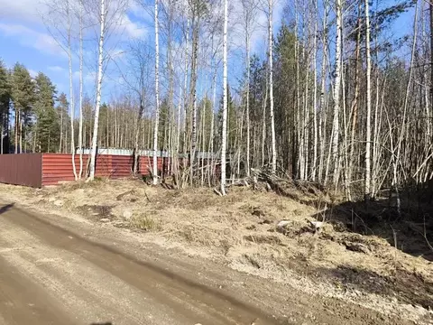 Участок в Ленинградская область, Всеволожское городское поселение, ...
