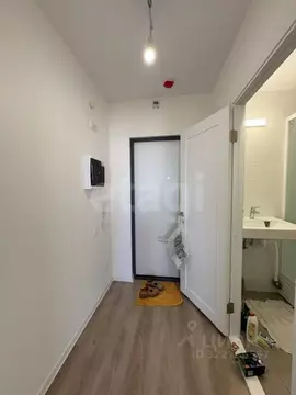 Студия Санкт-Петербург ул. Пахомовская, 14к2 (21.0 м)