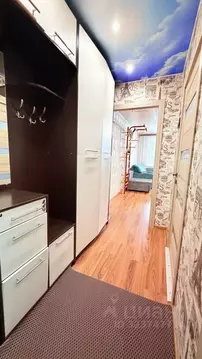 Студия Кировская область, Киров Московская ул., 207 (23.4 м)