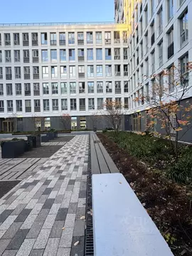 Студия Санкт-Петербург ул. Челюскина, 4 (30.0 м)