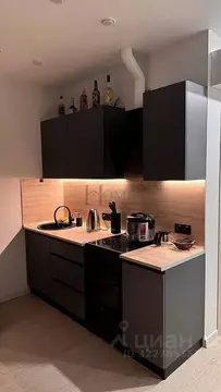 Студия Новосибирская область, Новосибирск ул. Ясный Берег, 29 (30.0 м)