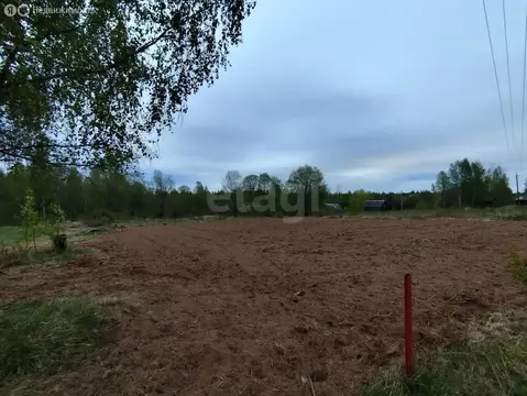 Участок в Будогощское городское поселение, деревня Змеева Новинка, ...