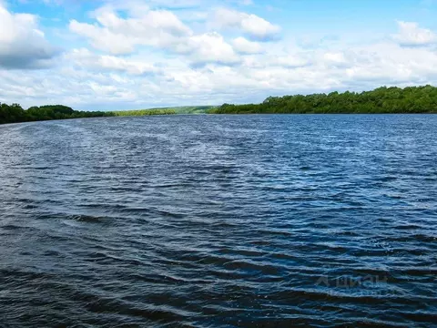 Участок в Тульская область, Ясногорский район, Иваньковское с/пос, д. ...