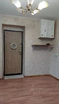 Комната Новосибирская область, Новосибирск ул. Твардовского, 18 (12.0 ...