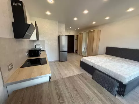 Студия Санкт-Петербург Парашютная ул., 79к1 (29.0 м)