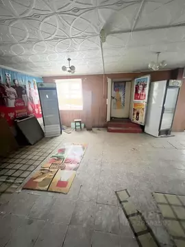 Помещение свободного назначения в Омская область, Кормиловка рп ул. ...