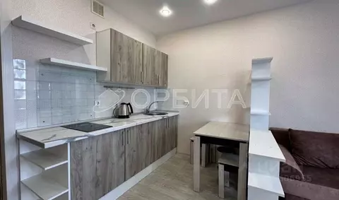 Студия Тюменская область, Тюмень ДОК мкр, ул. Ботаническая, 1 (25.7 м)