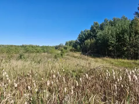 Участок в Московская область, Ступино городской округ, д. Алфимово  ...