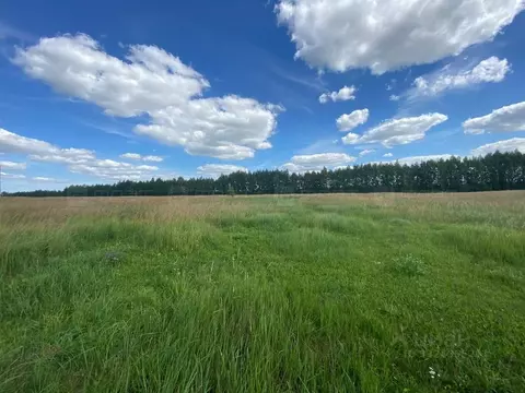 Участок в Татарстан, Лаишевский район, Сокуровское с/пос 463 (6.0 ...