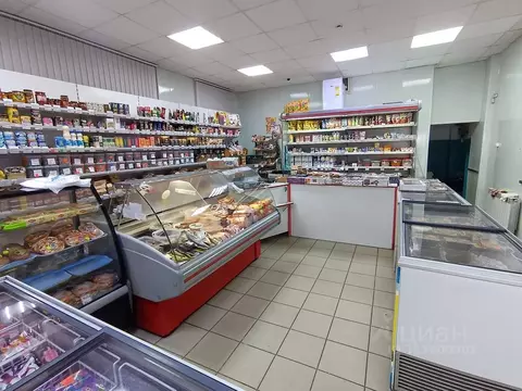 Помещение свободного назначения в Челябинская область, Челябинск ул. ...