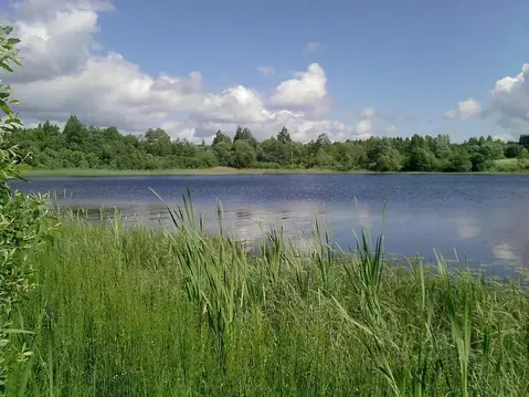 Участок в Новгородская область, Валдайский район, Короцкое с/пос, д. ...