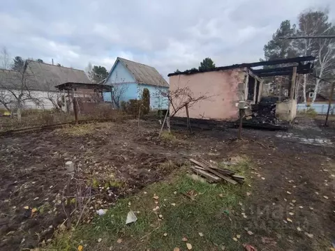 Участок в Пензенская область, Пенза Сосенки садовое дачное ...