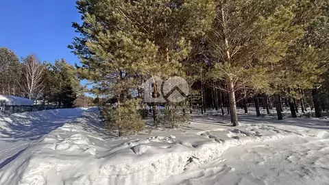 Участок в Новосибирская область, Мошковский район, Сосновское СНТ  ...