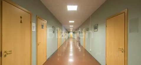 Офис в Санкт-Петербург ул. Рентгена, 5А (85 м)