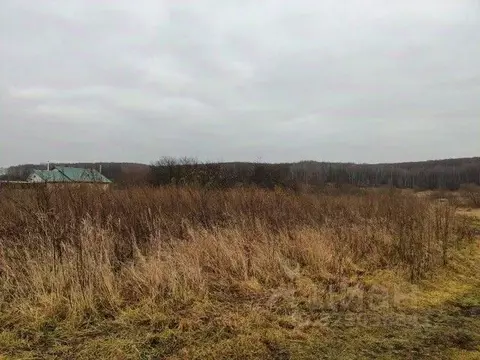 Участок в Московская область, Зарайск муниципальный округ, д. ...