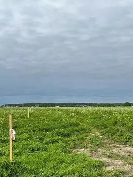 Участок в Ленинградская область, Ломоносовский район, Горбунковское ...