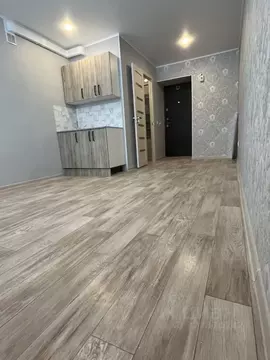 Студия Башкортостан, Уфа Борисоглебская ул., 17/1 (17.0 м)