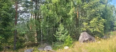 Участок в Ленинградская область, Приозерский район, Ларионовское ...