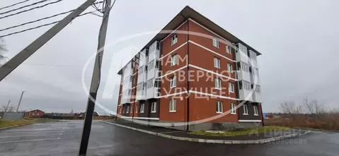 1-к кв. Пермский край, Чернушка ул. Францева, 15 (38.1 м)