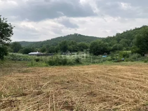Участок в Амурская область, Благовещенский район, Березка СНТ  (10.0 ...