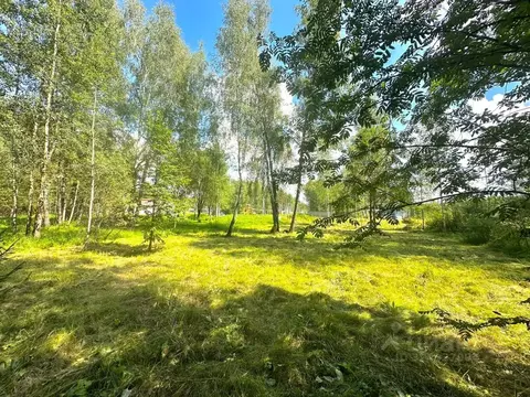Участок в Московская область, Истра муниципальный округ, д. Лужки  ...