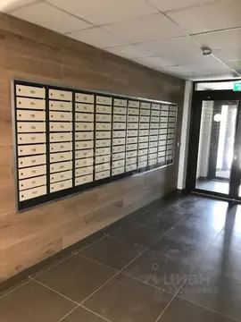 Студия Новосибирская область, Новосибирск ул. Забалуева, 102 (22.99 м)