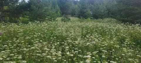 Участок в Свердловская область, Нижний Тагил Южный мкр,  (11.0 сот.)