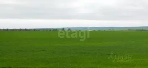 Участок в Крым, Ленинский район, Заветненское с/пос, с. Заветное ул. ...