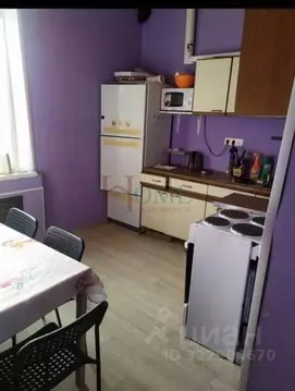 2-к кв. Новосибирская область, Новосибирск ул. Добролюбова, 134 (50.0 ...