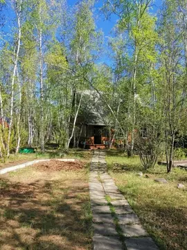 Участок в Саха (Якутия), с. Пригородный проезд Шестаковка (11.0 сот.)