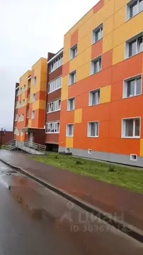 Студия Коми, Сыктывкар ул. Панева, 1/2 (30.0 м)