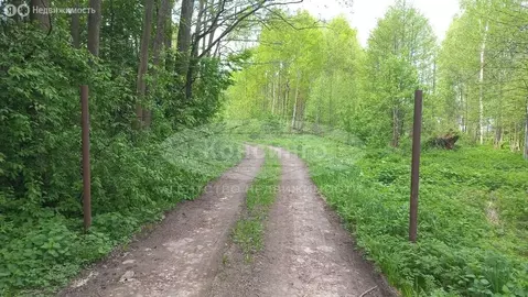 Участок в Московская область, муниципальный округ Чехов, деревня ...
