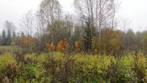Участок в Московская область, Рузский муниципальный округ, д. Шилово ...
