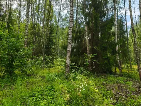 Участок в Московская область, Раменский муниципальный округ, ...