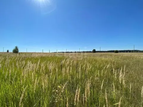 Участок в Татарстан, Верхнеуслонский район, Набережно-Морквашское ...