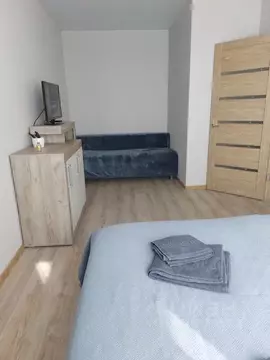 1-к кв. Курганская область, Курган Солнечный бул., 37 (31.0 м)