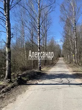 Участок в Ленинградская область, Выборг ул. Безмятежная (13.1 сот.)
