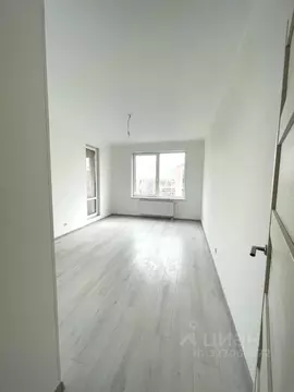 Студия Санкт-Петербург аллея Арцеуловская, 19 (25.0 м)