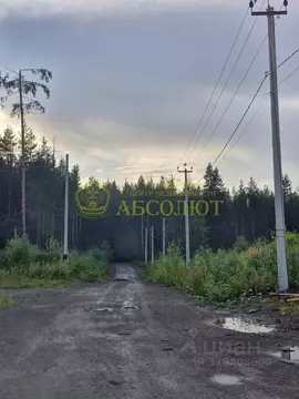 Участок в Свердловская область, Ревда  (10.3 сот.)