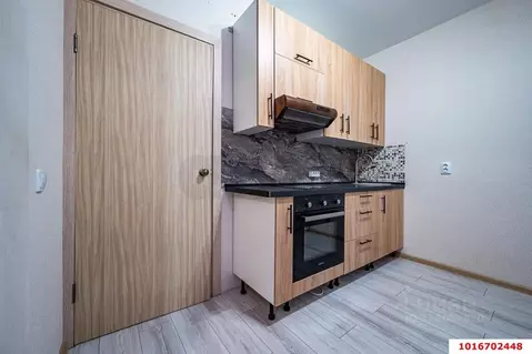 Студия Краснодарский край, Краснодар ул. Генерала Трошева (25.2 м)