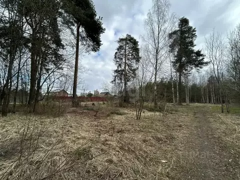 Участок в Ярославская область, Рыбинск Кипячевская ул., 62 (19.53 ...