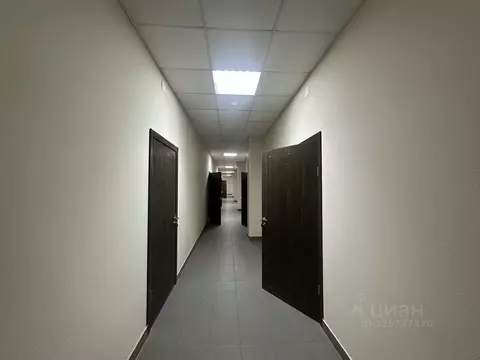 Офис в Татарстан, Казань ул. Клары Цеткин, 13 (350 м)