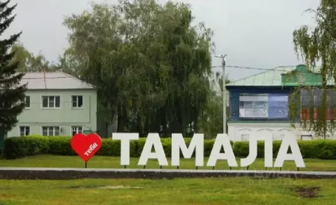 Помещение свободного назначения в Пензенская область, Тамала рп ул. ...