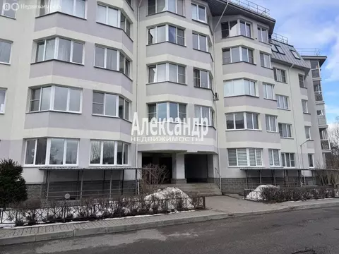 Квартира-студия: Петергоф, Петергофская улица, 8 (24 м)