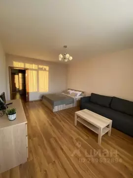 1-к кв. Нижегородская область, Нижний Новгород бул. Мира, 7 (55.0 м)