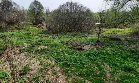 Участок в Владимирская область, Владимир сад Родники, 30 (4.0 сот.)