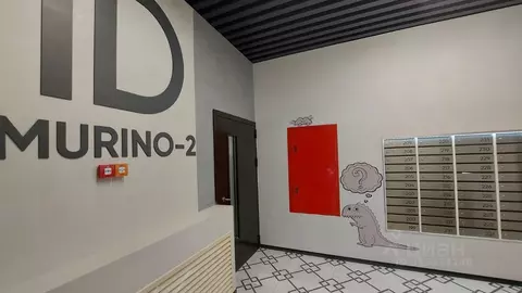 Студия Ленинградская область, Мурино Всеволожский район, ул. Шувалова, ...