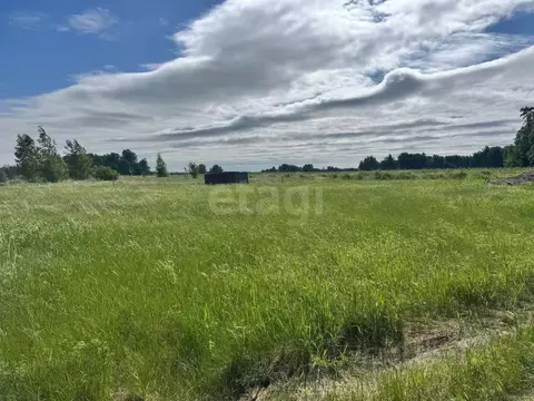 Участок в Новосибирская область, Искитимский район, Быстровский ...